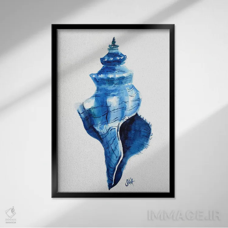تابلو دکوراتیو صدف دریایی اثر ناتالی مک - نمای قابدار مشکی