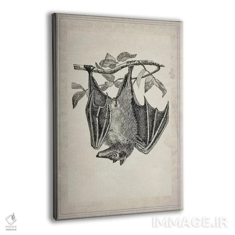 تابلو دکوراتیو خفاش ها ۴ اثر ناتاشا وسکوت - نمای پرسپکتیو محصول