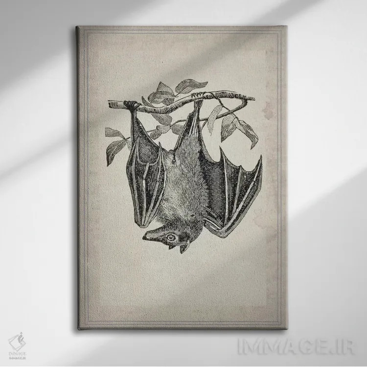 تابلو دکوراتیو خفاش ها ۴ اثر ناتاشا وسکوت - نمای روبهرو روی دیوار