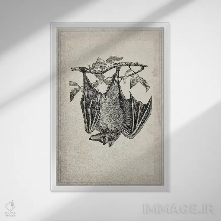 تابلو دکوراتیو خفاش ها ۴ اثر ناتاشا وسکوت - نمای قابدار سفید