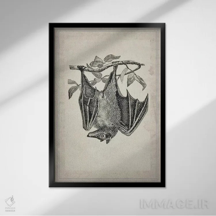 تابلو دکوراتیو خفاش ها ۴ اثر ناتاشا وسکوت - نمای قابدار مشکی