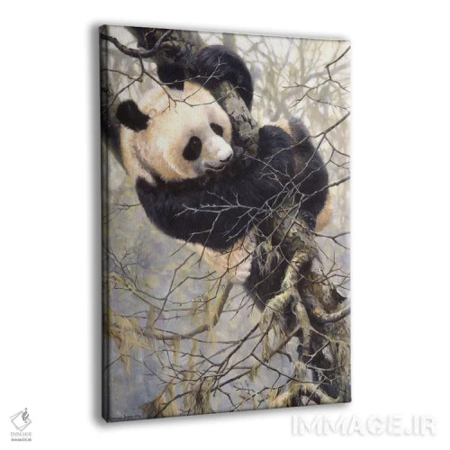 تابلو دکوراتیو سه گانه پاندا اثر جان سیری-لستر - نمای پرسپکتیو محصول