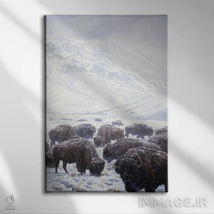 تابلو دکوراتیو گاومیش علف خوار زمستانی اثر جان سیری-لستر - نمای روبهرو روی دیوار