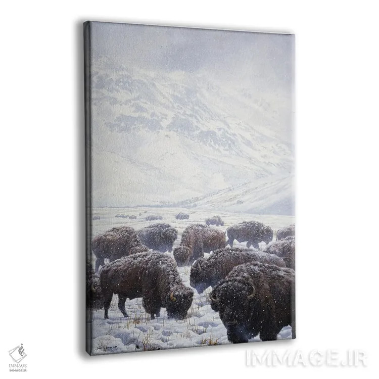 تابلو دکوراتیو گاومیش علف خوار زمستانی اثر جان سیری-لستر - نمای پرسپکتیو محصول