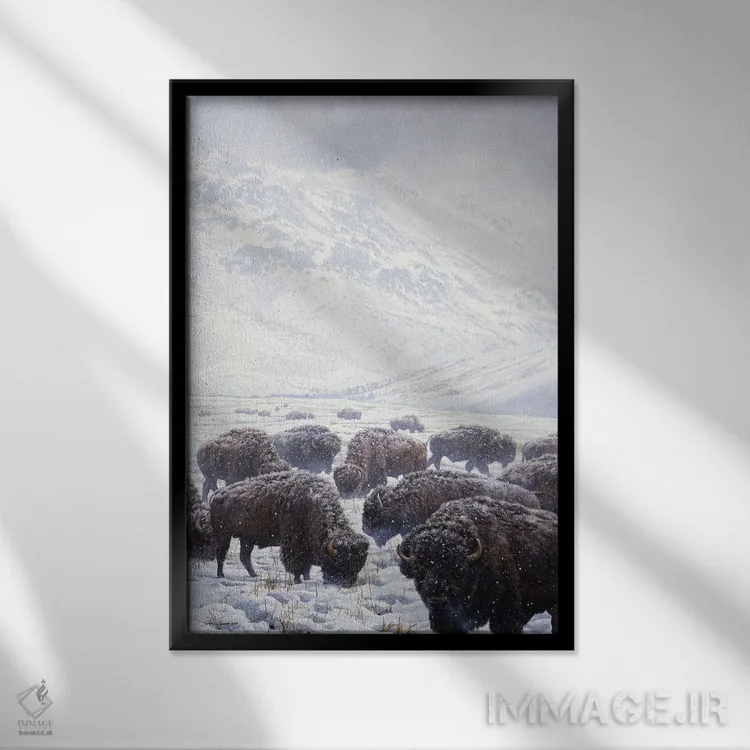 تابلو دکوراتیو گاومیش علف خوار زمستانی اثر جان سیری-لستر - نمای قابدار مشکی