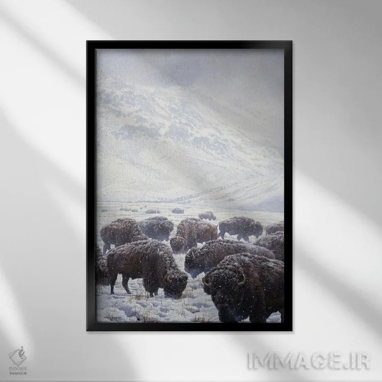 تابلو دکوراتیو گاومیش علف خوار زمستانی اثر جان سیری-لستر - نمای قابدار مشکی