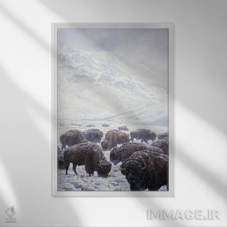تابلو دکوراتیو گاومیش علف خوار زمستانی اثر جان سیری-لستر - نمای قابدار سفید