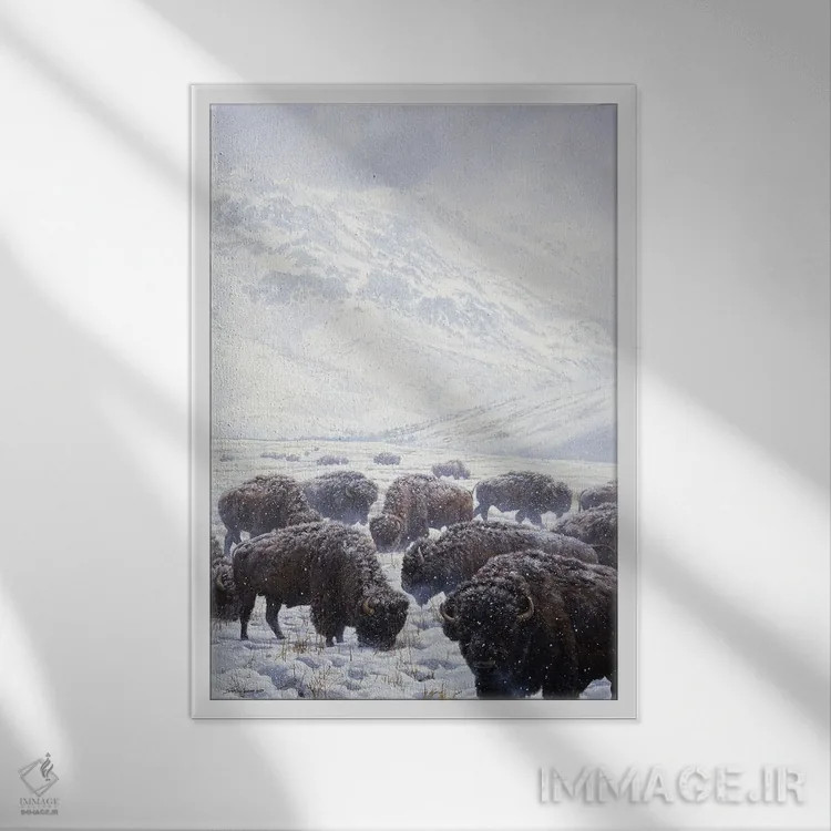 تابلو دکوراتیو گاومیش علف خوار زمستانی اثر جان سیری-لستر - نمای قابدار سفید