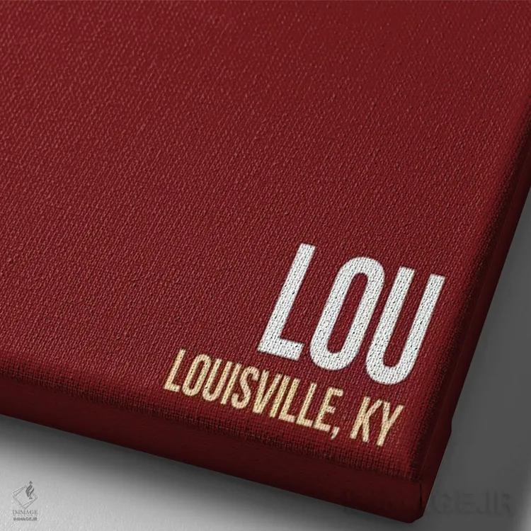 تابلو دکوراتیو لوئیزویل اثر ۰۸ لفت - نمای نزدیک بافت بوم