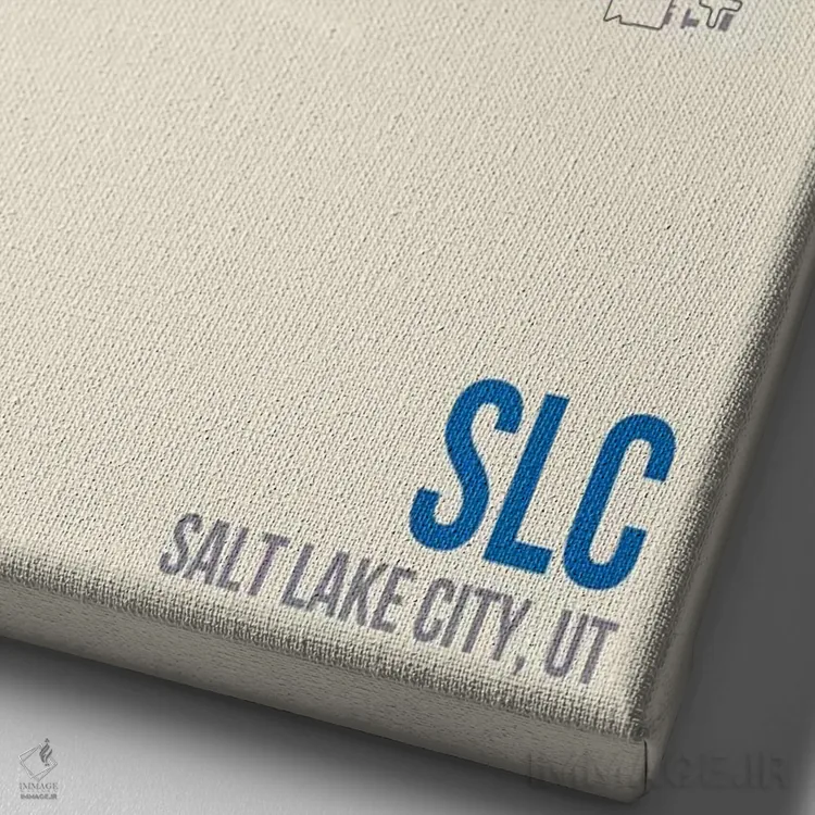 تابلو دکوراتیو سالت لیک سیتی اثر ۰۸ لفت - نمای نزدیک بافت بوم