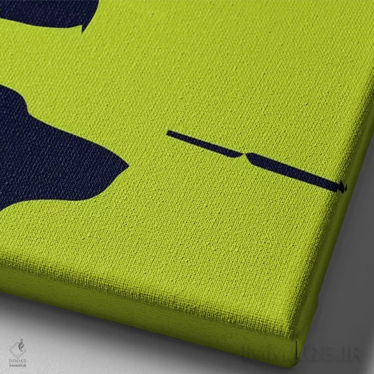 تابلو مینیمال دم هواپیمای DC-10 اثر ۰۸ لفت - نمای نزدیک بافت بوم