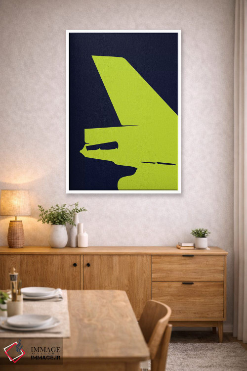 تابلو مینیمال دم هواپیمای DC-10 اثر ۰۸ لفت - D4W