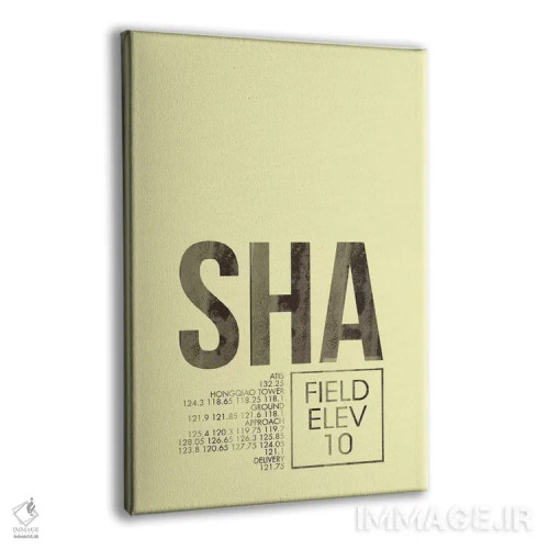 تابلو دکوراتیو شانگهای هونگچیائو اثر ۰۸ لفت - نمای پرسپکتیو محصول