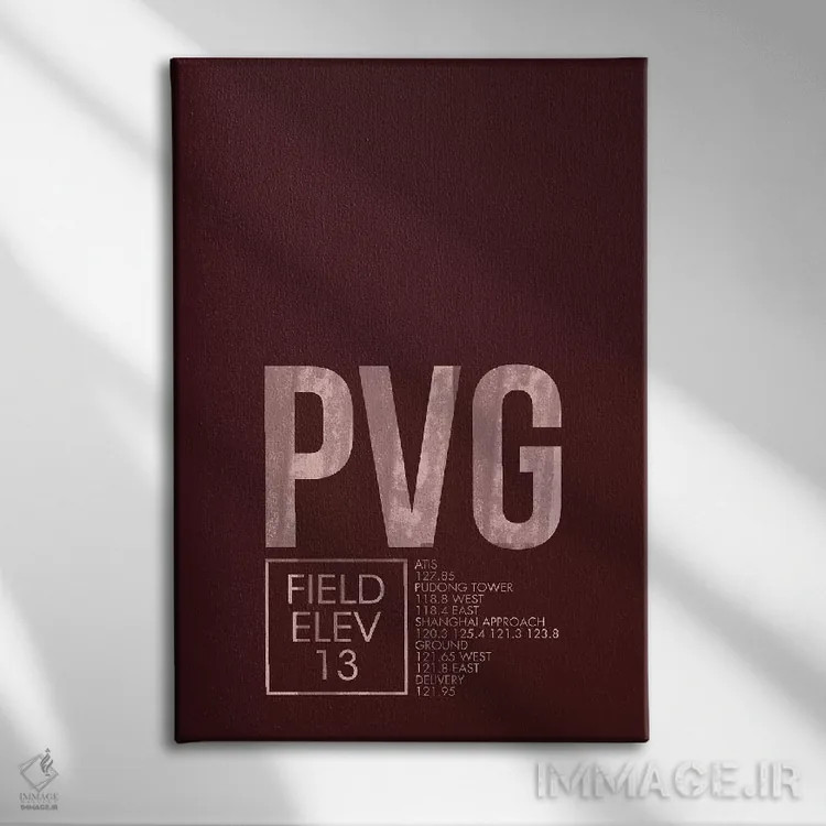 تابلو دکوراتیو شانگهای پودونگ اثر ۰۸ لفت - نمای روبهرو روی دیوار