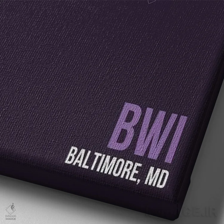 تابلو دکوراتیو بالتیمور-واشینگتن اثر ۰۸ لفت - نمای نزدیک بافت بوم