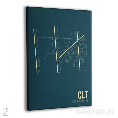 تابلو دکوراتیو شارلوت داگلاس اثر ۰۸ لفت - نمای پرسپکتیو محصول