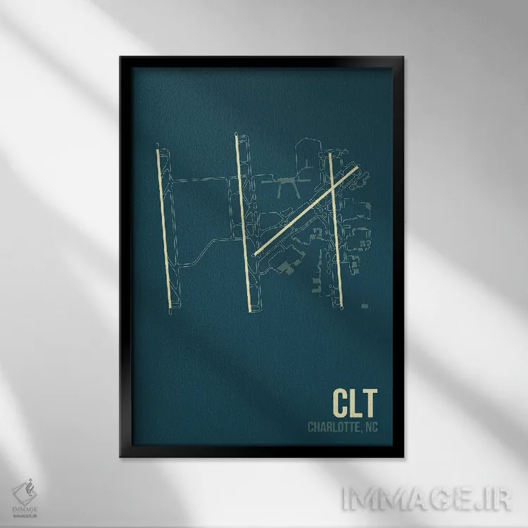 تابلو دکوراتیو شارلوت داگلاس اثر ۰۸ لفت - نمای قابدار مشکی