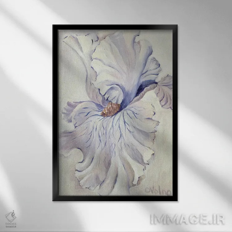 تابلو دکوراتیو زنبق سفید اثر الگا ولنا - نمای قابدار مشکی