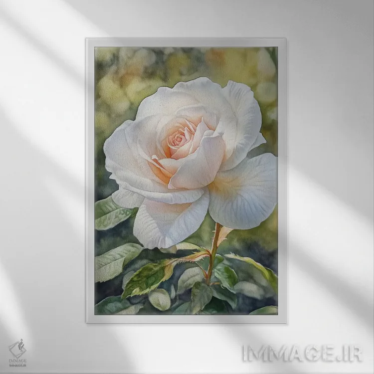 تابلو دکوراتیو رز باغچه ای اثر الگا ولنا - نمای قابدار سفید