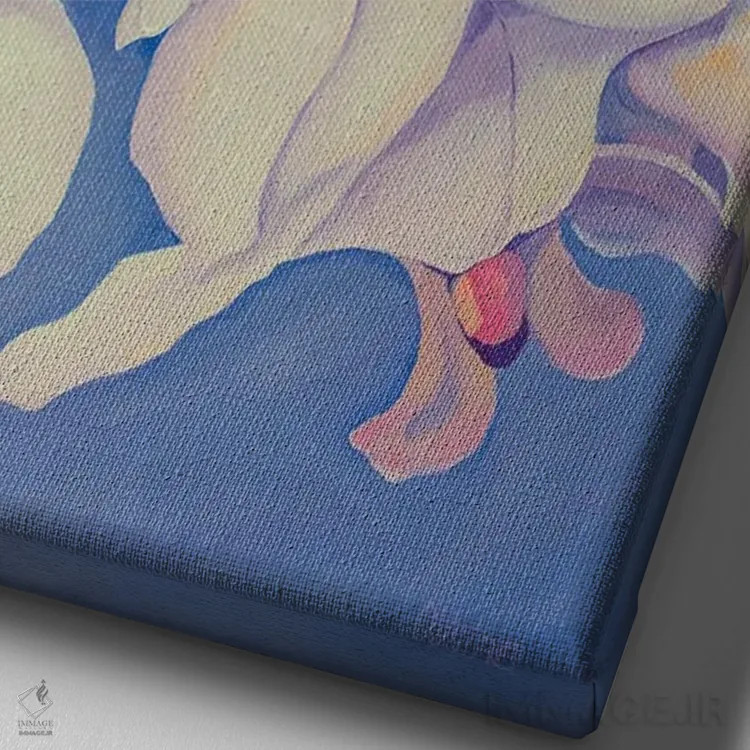 تابلو دکوراتیو ارکیده های سفید اثر الگا ولنا - نمای نزدیک بافت بوم