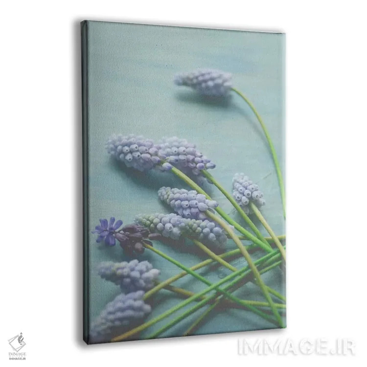 تابلو دکوراتیو طبیعت بی جان گل آبی اثر اولیویا جوی سنت کلر - نمای پرسپکتیو محصول