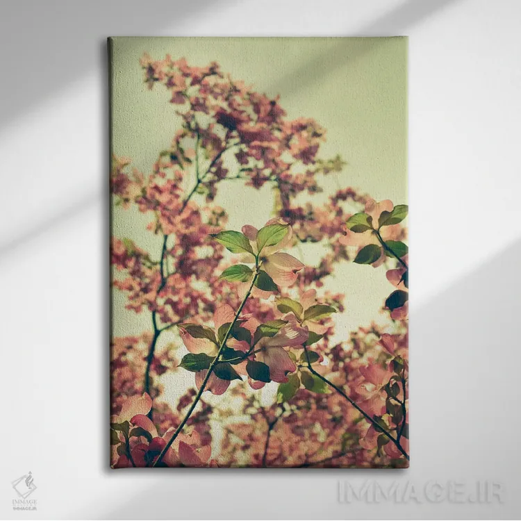تابلو دکوراتیو شکوفه اثر اولیویا جوی سنت کلر - نمای روبهرو روی دیوار