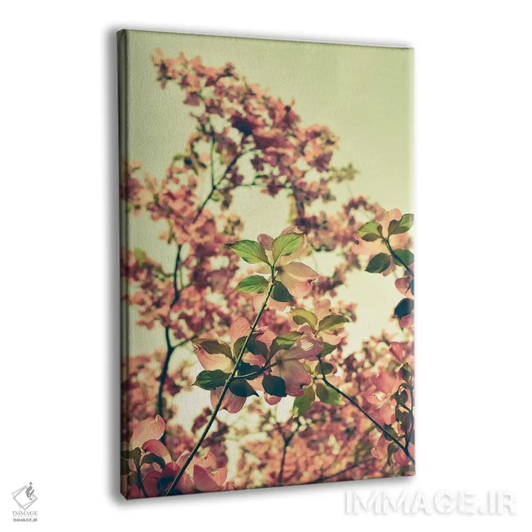 تابلو دکوراتیو شکوفه اثر اولیویا جوی سنت کلر - نمای پرسپکتیو محصول