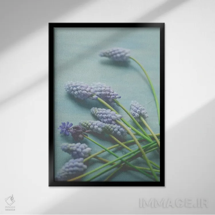 تابلو دکوراتیو طبیعت بی جان گل آبی اثر اولیویا جوی سنت کلر - نمای قابدار مشکی