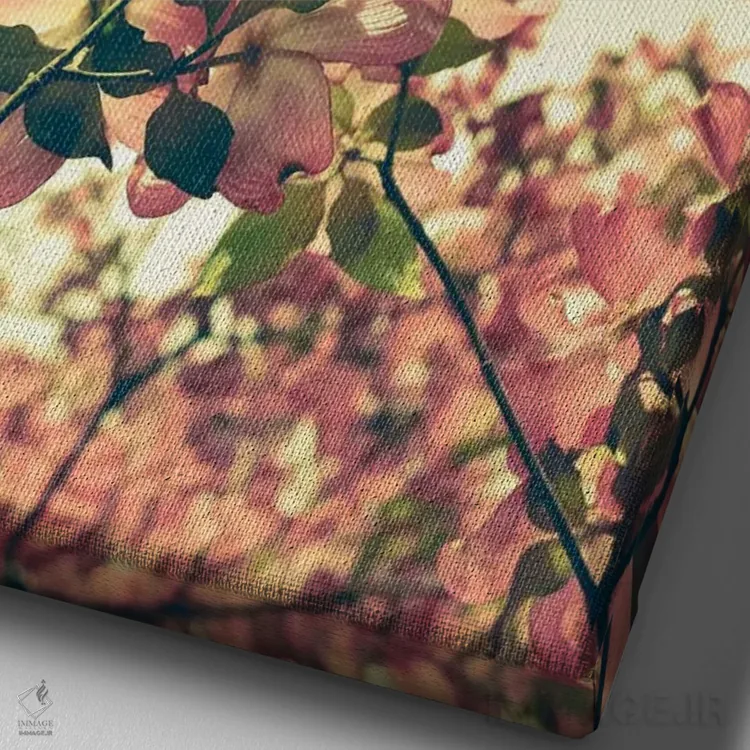 تابلو دکوراتیو شکوفه اثر اولیویا جوی سنت کلر - نمای نزدیک بافت بوم