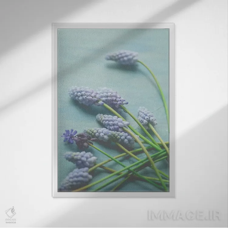 تابلو دکوراتیو طبیعت بی جان گل آبی اثر اولیویا جوی سنت کلر - نمای قابدار سفید