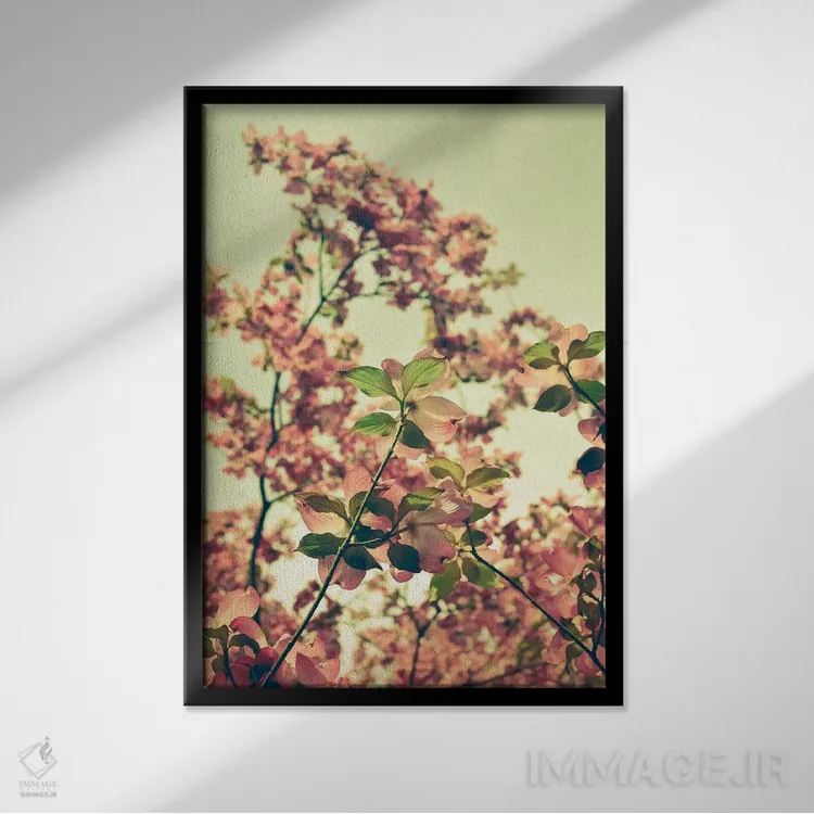 تابلو دکوراتیو شکوفه اثر اولیویا جوی سنت کلر - نمای قابدار مشکی