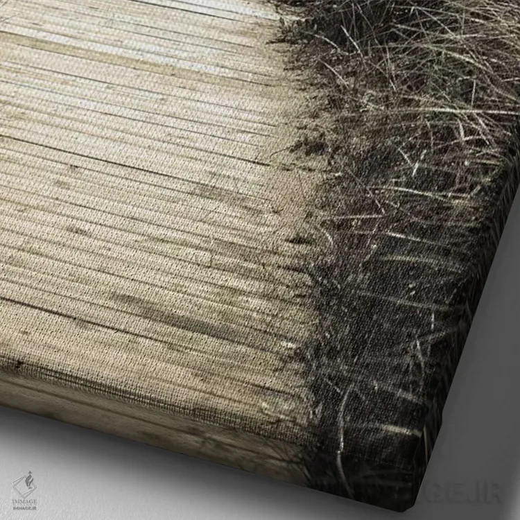 تابلو دکوراتیو پیاده روی ساحلی اثر اولیویا جوی سنت کلر - نمای نزدیک بافت بوم