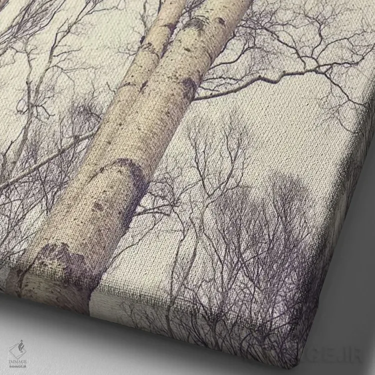 تابلو دکوراتیو درختان غان اثر اولیویا جوی سنت کلر - نمای نزدیک بافت بوم