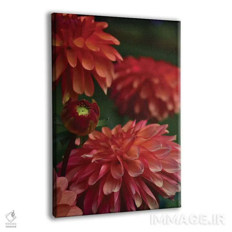 تابلو دکوراتیو کوکب اثر اولیویا جوی سنت کلر - نمای پرسپکتیو محصول