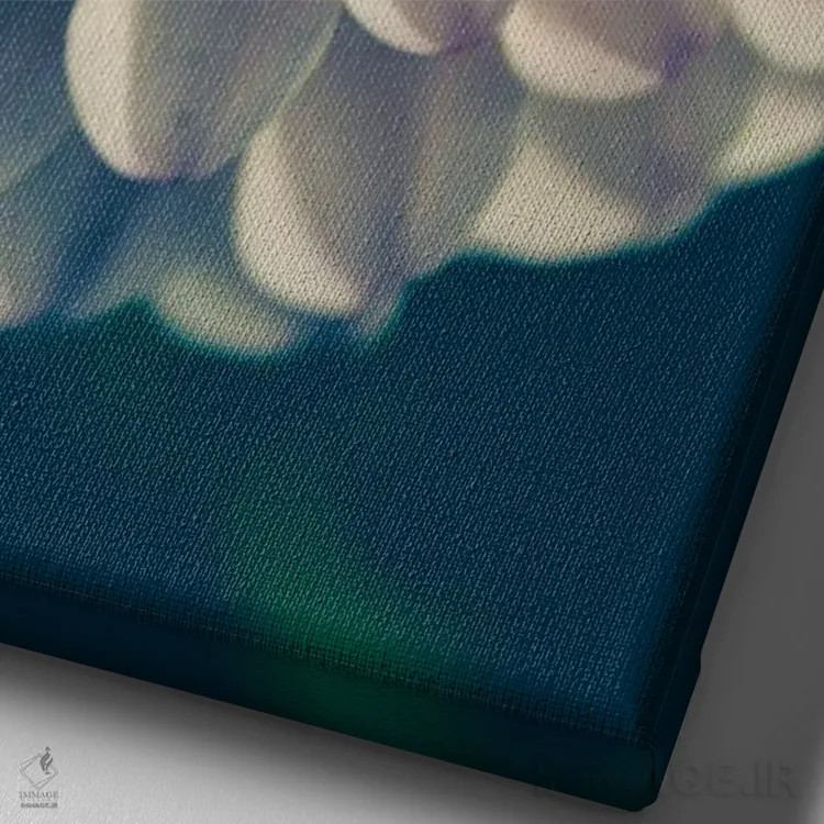 تابلو دکوراتیو کوکب، صورتی ملایم اثر اولیویا جوی سنت کلر - نمای نزدیک بافت بوم