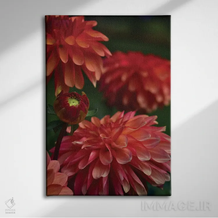 تابلو دکوراتیو کوکب اثر اولیویا جوی سنت کلر - نمای روبهرو روی دیوار