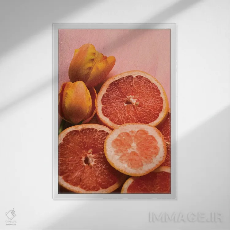 تابلو دکوراتیو مرکبات I اثر اولیویا جوی سنت کلر - نمای قابدار سفید