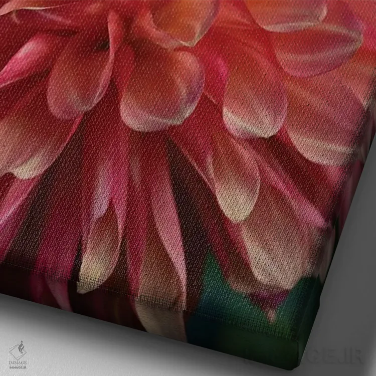 تابلو دکوراتیو کوکب اثر اولیویا جوی سنت کلر - نمای نزدیک بافت بوم