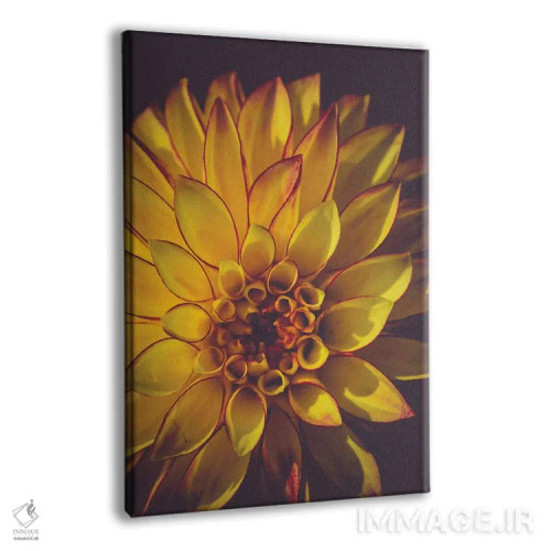 تابلو دکوراتیو کوکب زرد اثر اولیویا جوی سنت کلر - نمای پرسپکتیو محصول