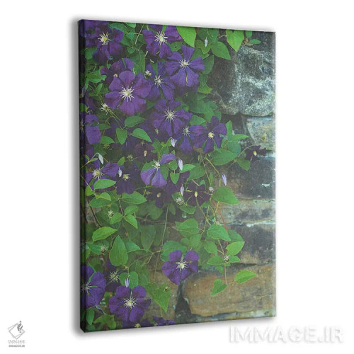 تابلو دکوراتیو متین اثر اولیویا جوی سنت کلر - نمای پرسپکتیو محصول