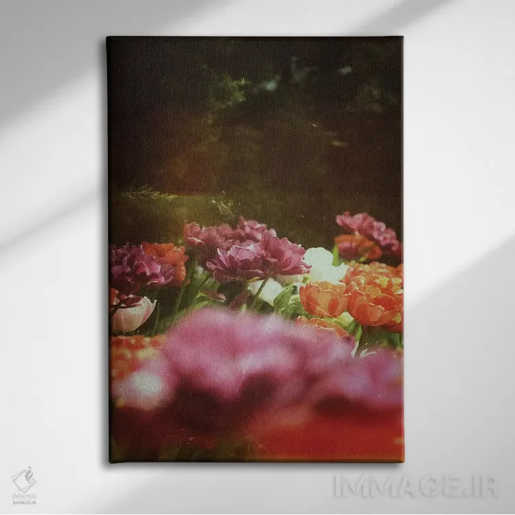 تابلو دکوراتیو رقص در تاریکی اثر اولیویا جوی سنت کلر - نمای روبهرو روی دیوار