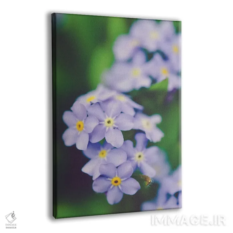 تابلو دکوراتیو زودگذر اثر اولیویا جوی سنت کلر - نمای پرسپکتیو محصول