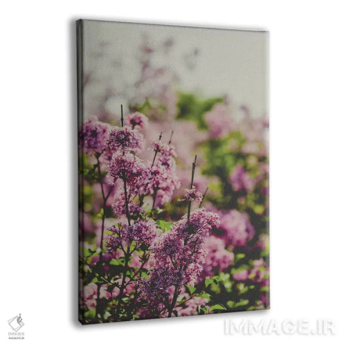 تابلو دکوراتیو عشق در حال محو شدن اثر اولیویا جوی سنت کلر - نمای پرسپکتیو محصول