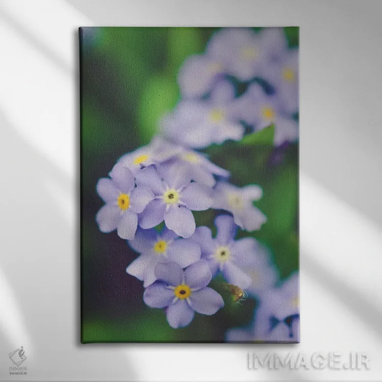 تابلو دکوراتیو زودگذر اثر اولیویا جوی سنت کلر - نمای روبهرو روی دیوار