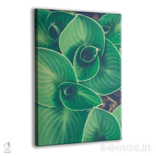 تابلو دکوراتیو برگ های نوظهور اثر اولیویا جوی سنت کلر - نمای پرسپکتیو محصول