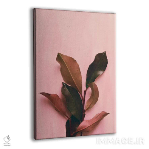 تابلو دکوراتیو برگ و شاخ I اثر اولیویا جوی سنت کلر - نمای پرسپکتیو محصول