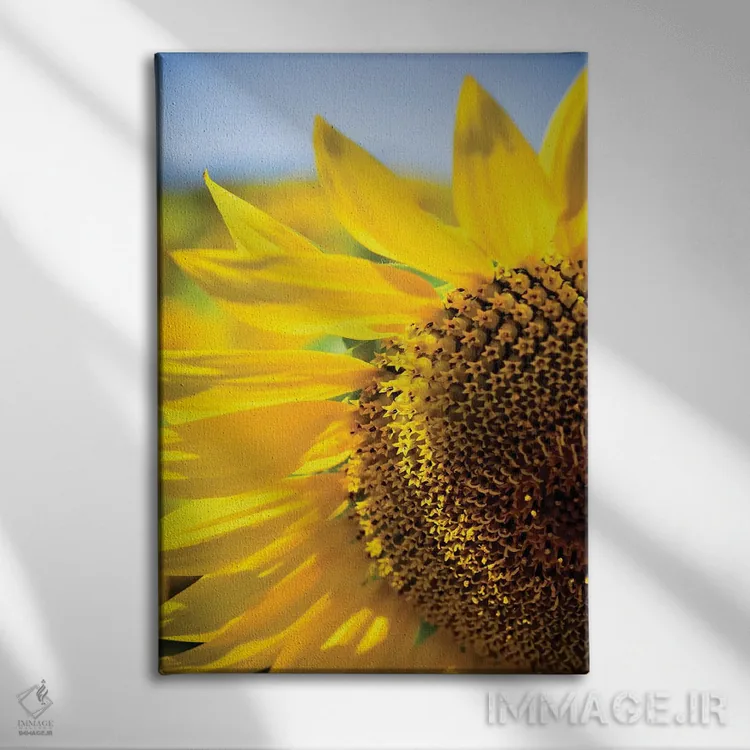 تابلو دکوراتیو آفتابگردان های خیال انگیز تابستانی IV اثر اولیویا جوی سنت کلر - نمای روبهرو روی دیوار
