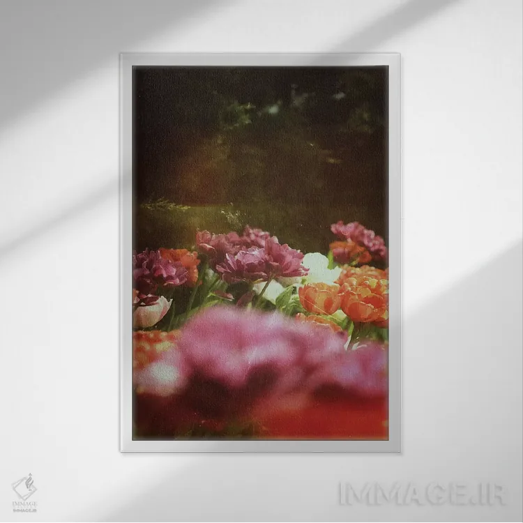 تابلو دکوراتیو رقص در تاریکی اثر اولیویا جوی سنت کلر - نمای قابدار سفید