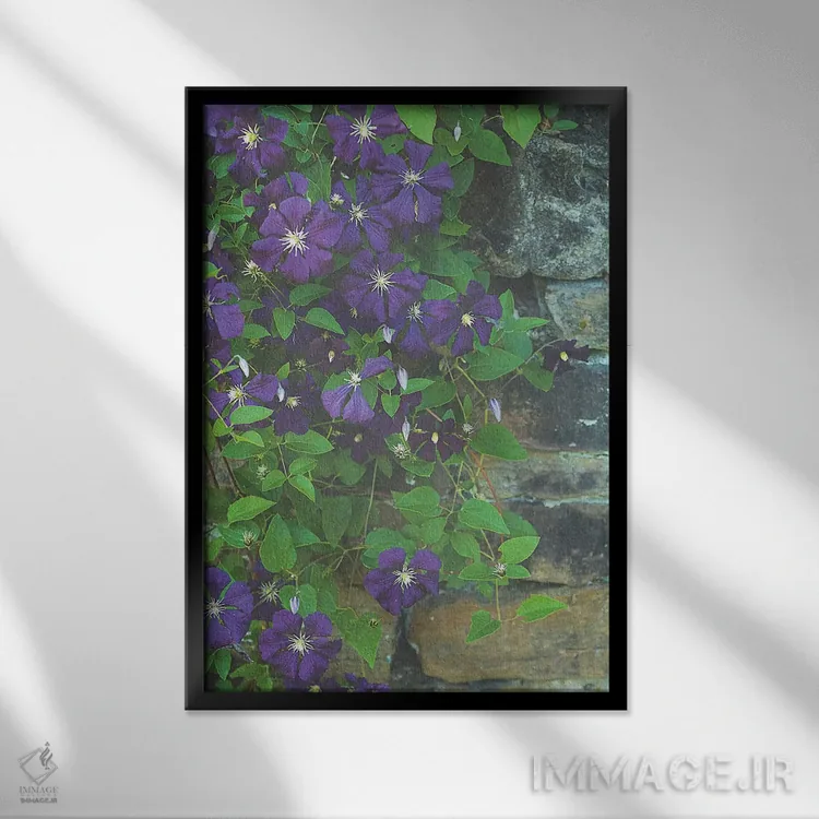 تابلو دکوراتیو متین اثر اولیویا جوی سنت کلر - نمای قابدار مشکی