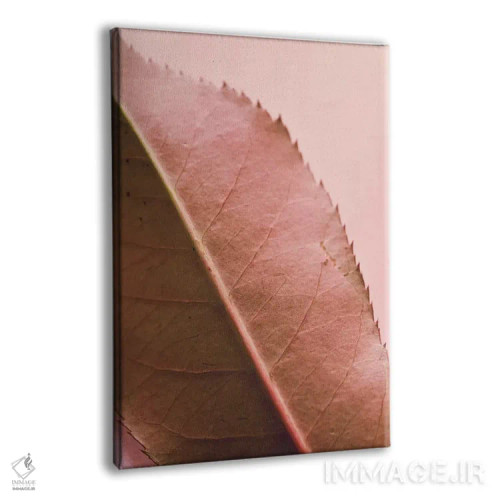 تابلو دکوراتیو برگ و شاخ II اثر اولیویا جوی سنت کلر - نمای پرسپکتیو محصول
